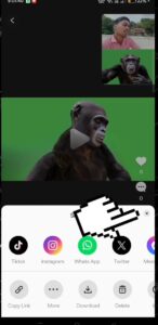 Download, Edit & Add Magic for monkey vlog tool