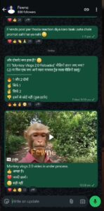 Get Resources from Instagram & WhatsApp Channels for monkey vlog tool