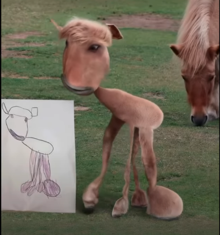 animal sketch